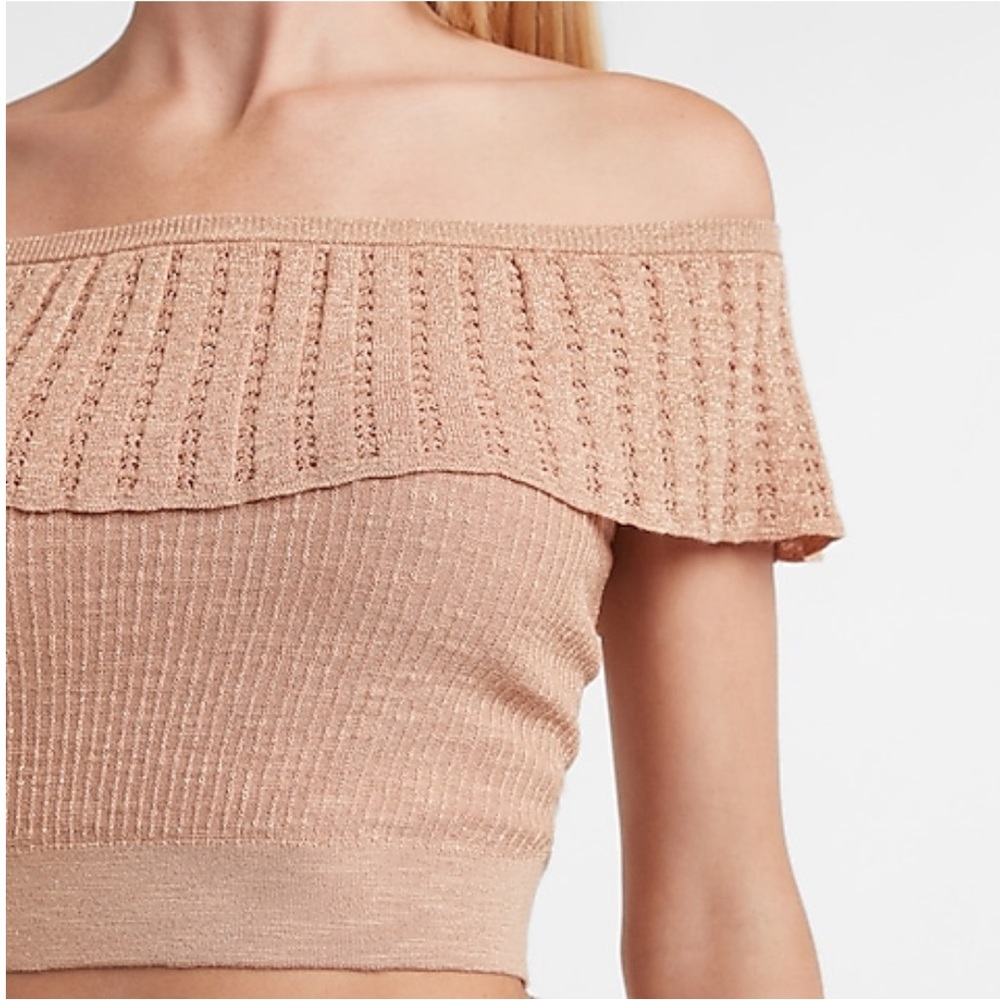 EXPRESS Metallic Ribbed Off The Shoulder Cropped Sweater size:XL Color: Tuscany